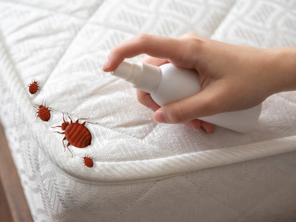 Best Emergency Pest Control  in Riverview Rk, PA