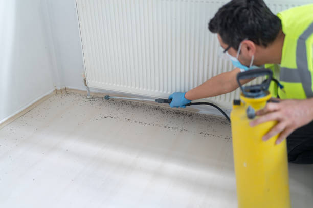 Best Local Pest Control Services  in Riverview Rk, PA